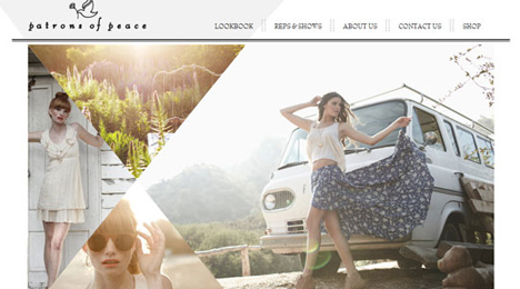 Web Development by Orange County Web designer Dave Levy