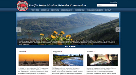 Web Development by Orange County Web designer Dave Levy