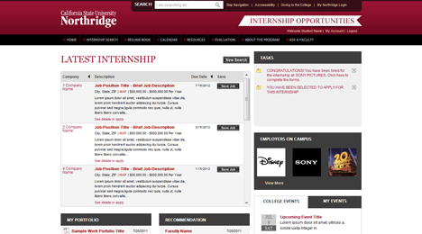 Web Development by Orange County Web designer Dave Levy