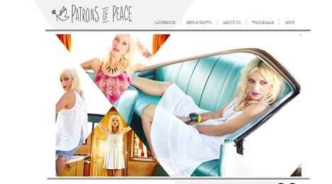 Web Development by Orange County Web designer Dave Levy