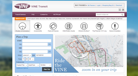 Web Development by Orange County Web designer Dave Levy
