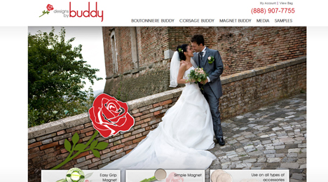 Web Development by Orange County Web designer Dave Levy