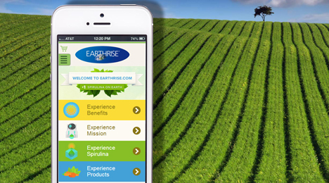 Web Development by Orange County Web designer Dave Levy