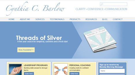 Web Development by Orange County Web designer Dave Levy